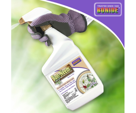 Captain Jack's Bon-Neem II Fungicide, Miticide and Insecticide (32 oz ...