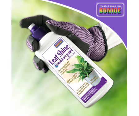 Leaf Shine & Moisture Guard Spray Ready-to-Use - Bonide