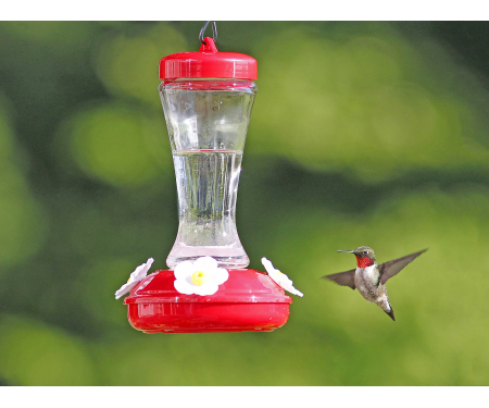 Stokes Select Gardenia Hummingbird Feeder C19 38230