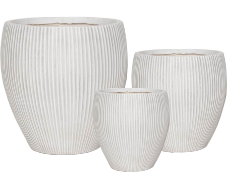 C102 10055WH