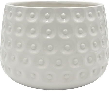 C102 50003WH