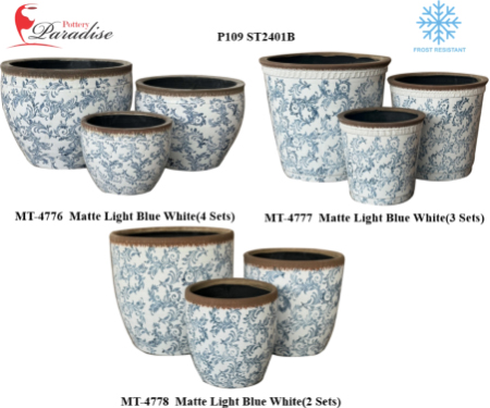 P109 ST2401B