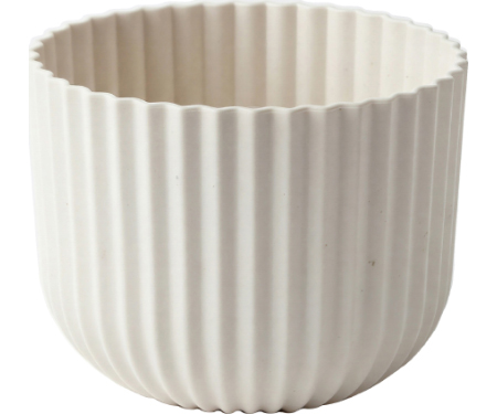B80 WP0682