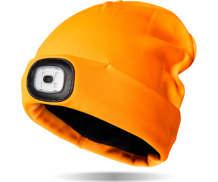 D37 NGSPRTORG
