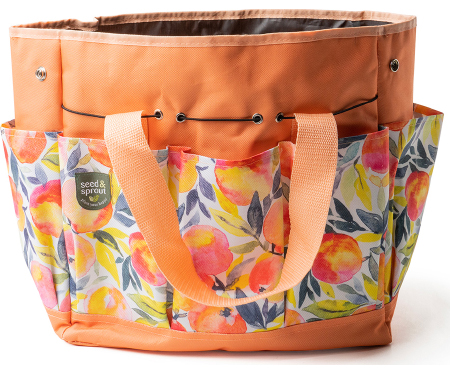 D37 SNSBAG2SS