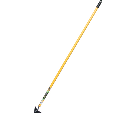 healthy living pool and spa