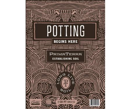 Q126 TPTPOTTING1CF