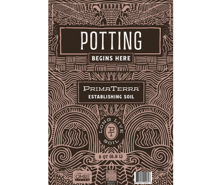 Q126 TPTPOTTING8QT