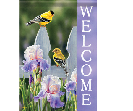 S103 ZESTBIRDASST260