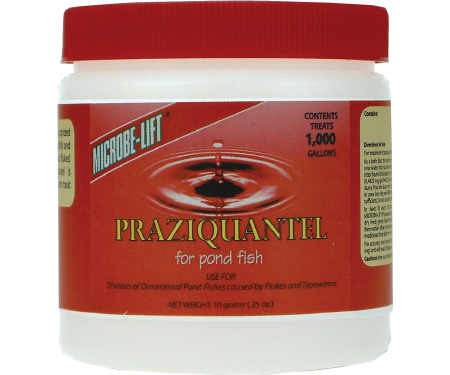 E07 PRAZI10