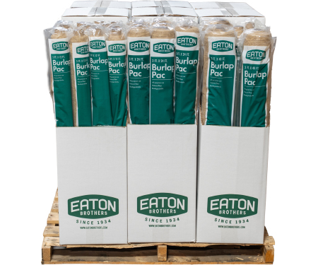 E10 EAT005