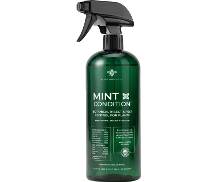 H122 MINT16