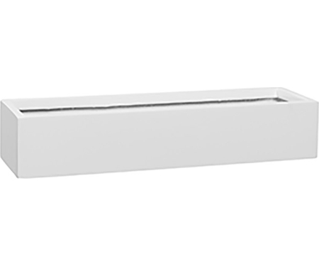 V21 CARLO4620WHS