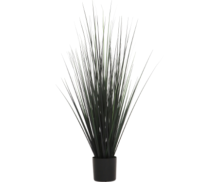 V21 GRGRASS36