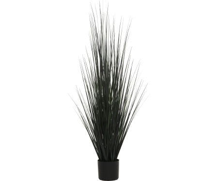 V21 GRGRASS48