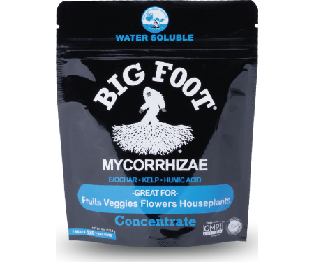A120 BFC04