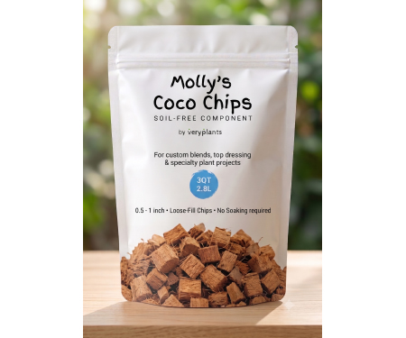 V125 MCCOCCHIPS5DQUS