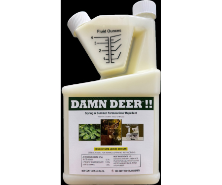 D31 WDDSTMC