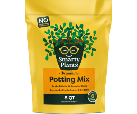 O125 156000941