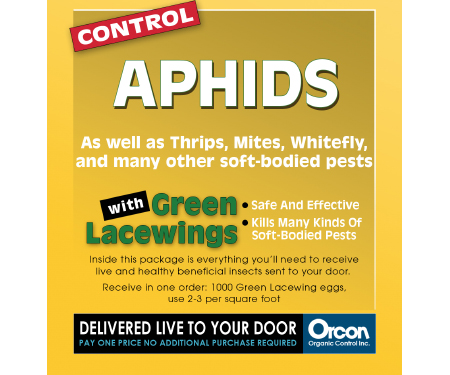 Green Lacewings - Organic Control, Inc.