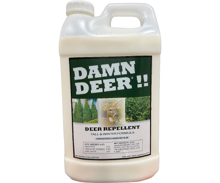 D31 WDDW25C