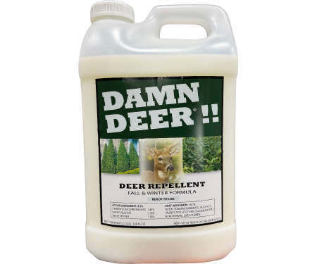 D31 WDDW25R