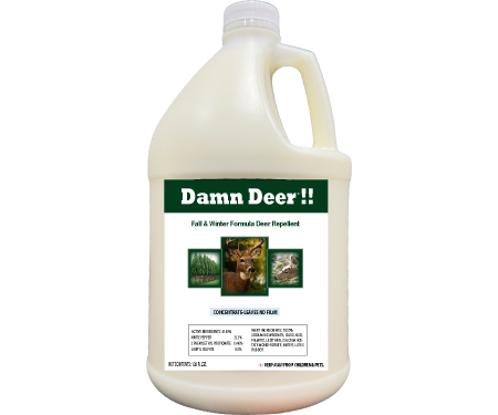 D31 WDDWIGC