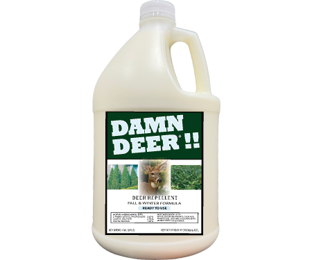 D31 WDDWIGR