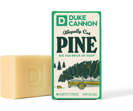 D100 BSBAPINE10