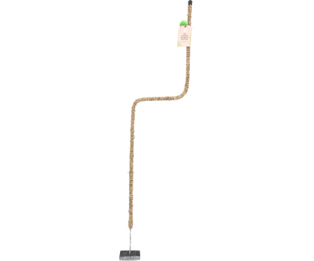 M95 BCP0054