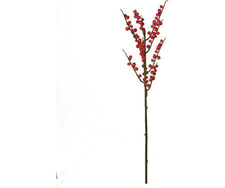 N46 PLX3999RED