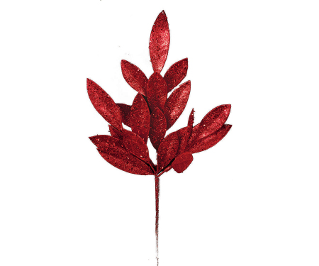 N46 PPX5010RED