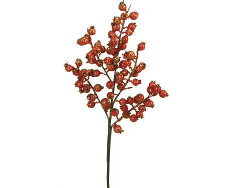 N46 SSX2011RED