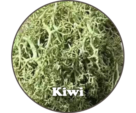 M95 RMBKW0001