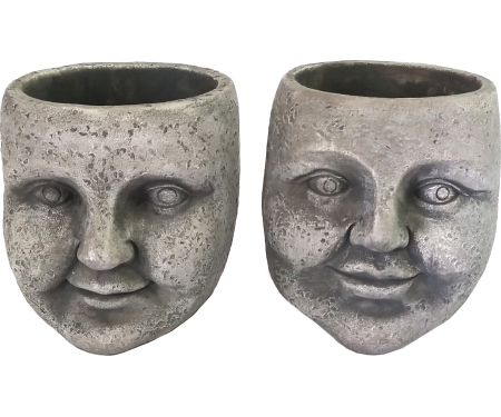 V15 FACE4