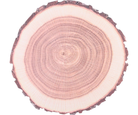 E57 C2109