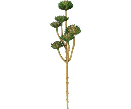 M14 HZ221
