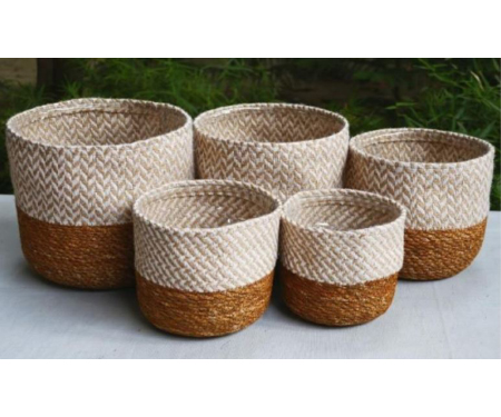 C111 HANDLOOM101