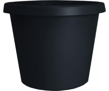 A15 PCP08005G18