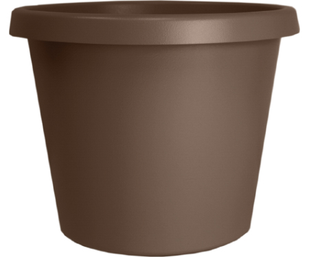 A15 PCP08005E21