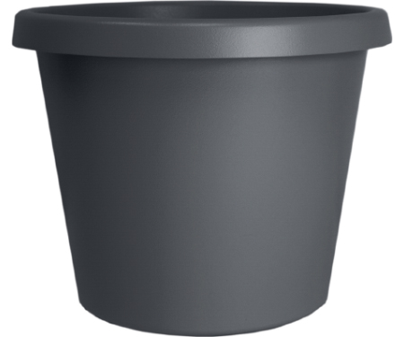 A15 PCP08005A42