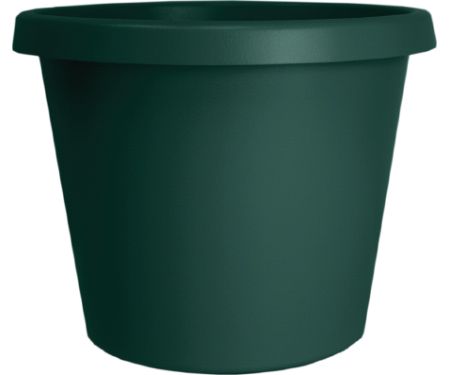 A15 PCP24005B91