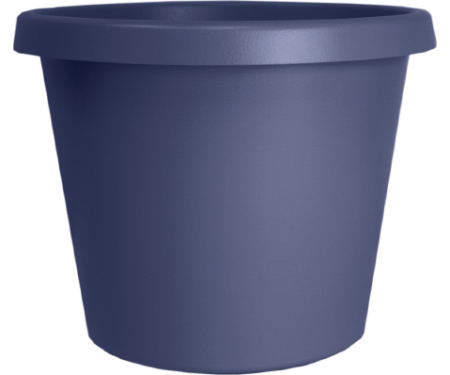 A15 PCP06005DE6
