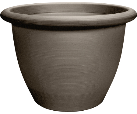 A15 SAA09001E29