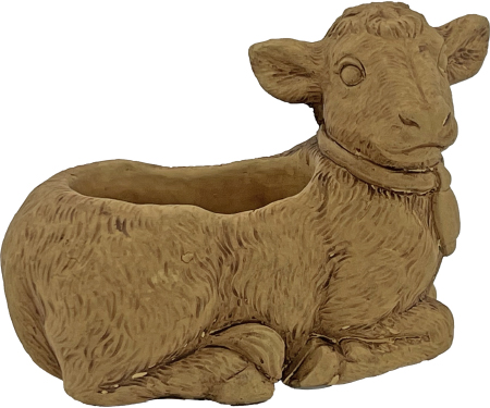 C102 1AN09040528C006