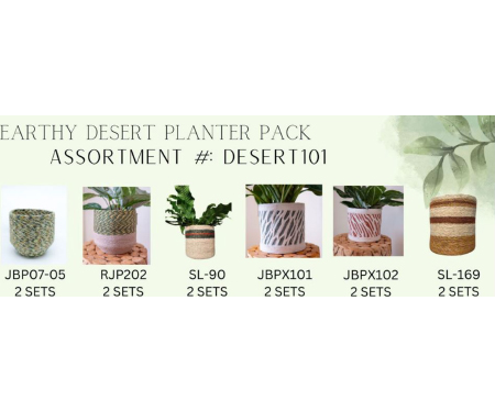 C111 DESERT101
