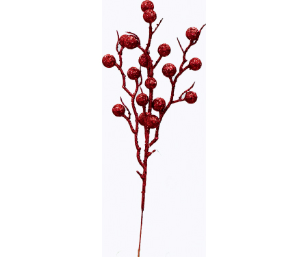 N46 XP1019RD