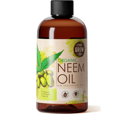 S125 WSTGCNEEMOIL8