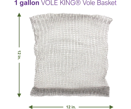 V17 VB1D4