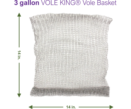 V17 VB3G4